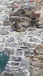 acastle
                          100435.jpg